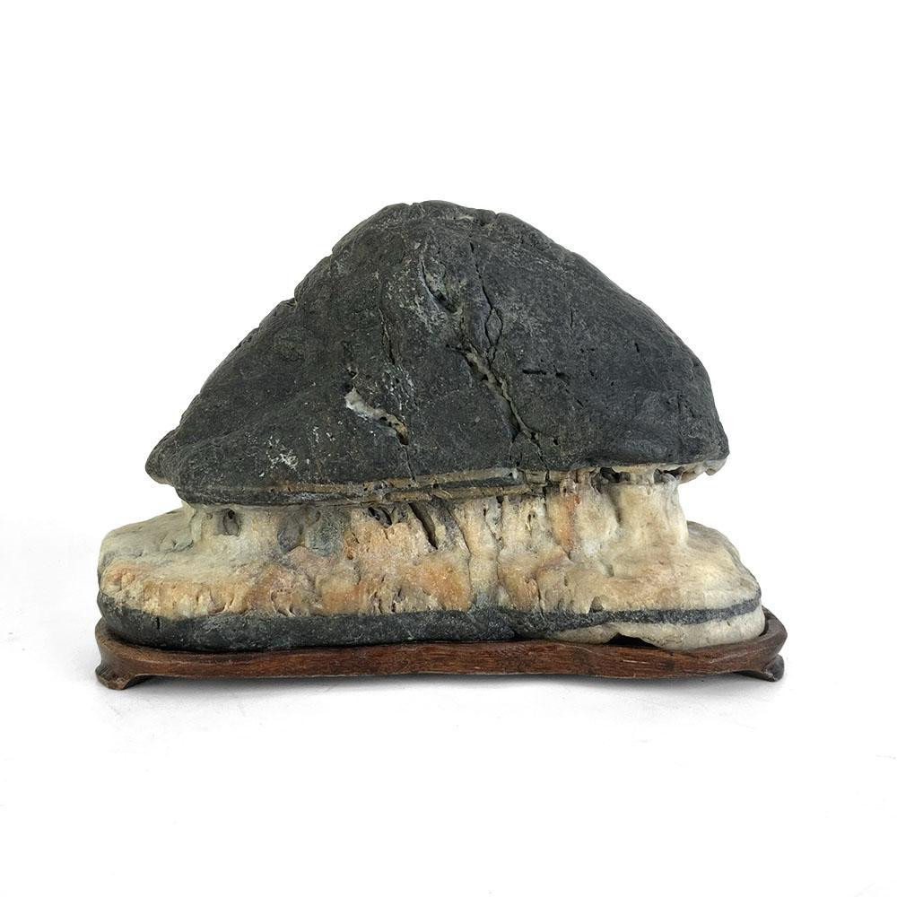 Japanese Suiseki - Abe River Carved Hut Stone with Daiza - Eastern