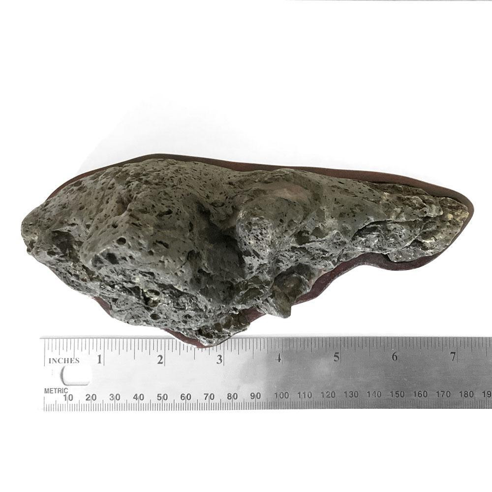 Japanese Suiseki - Kamo River Landscape Stone with Daiza - Eastern