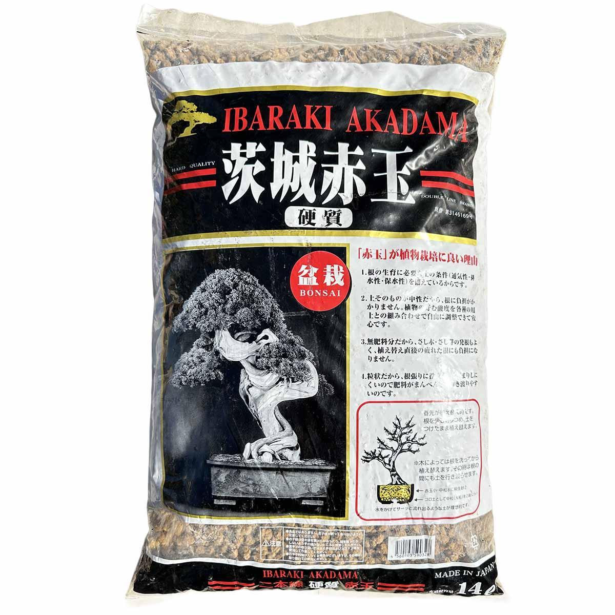 Double Line Ibaraki Akadama - Medium