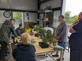 April 2024 Bonsai Community at Eastern Leaf