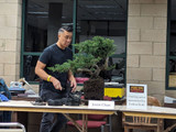 February 25, 2024 Bonsai-a-thon Jason Chan Round Robin Demonstration