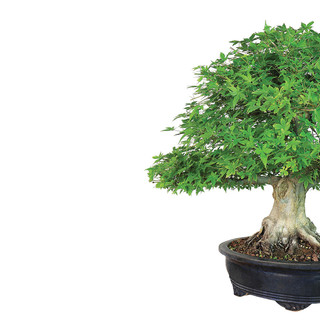 ◆sala tree◆ VASAGLE Hall Tree with Bench | SONGMICS HOME