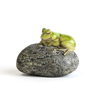 Sleeping Frog on Stone