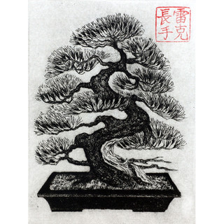 Bonsai Print Drawing