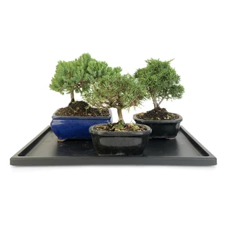 Humidity Tray - 16
