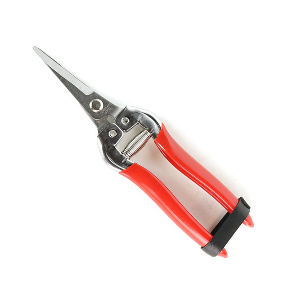 Traditional Thinning Shear