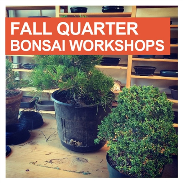 Eastern Leaf Bonsai Workshops