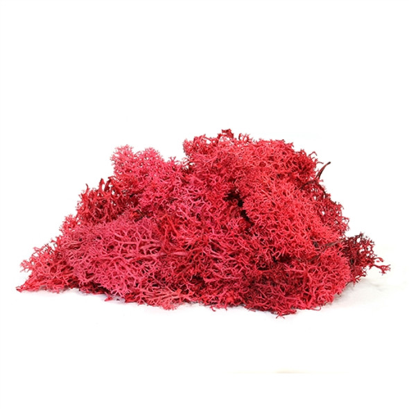 Red Deer Moss Red Deer Moss