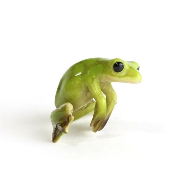 Green Tree Frog Ledge Hanger