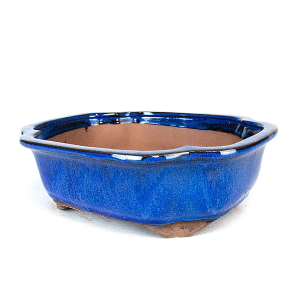 10" Lotus Pot - Blue