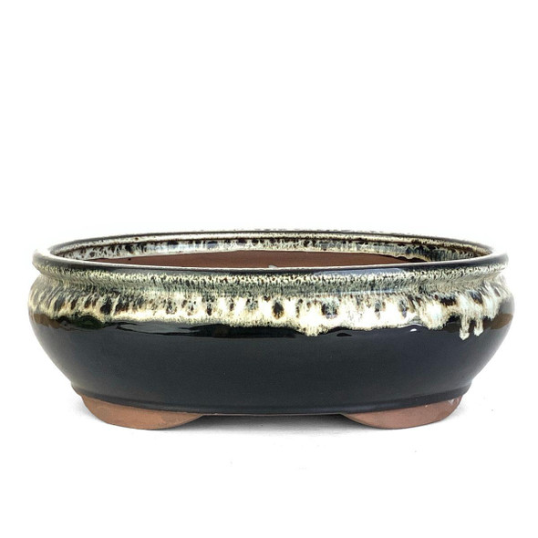 12" Tall Oval Bonsai Pot - Midnight Ombre