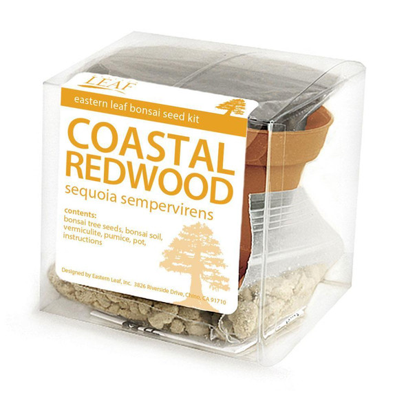 Coastal Redwood Bonsai Seed Kit