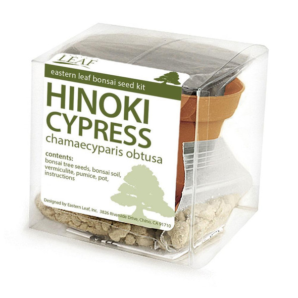 Hinoki Cypress Bonsai Seed Kit