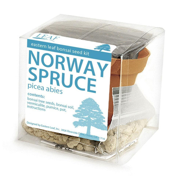 Norway Spruce Bonsai Seed Kit