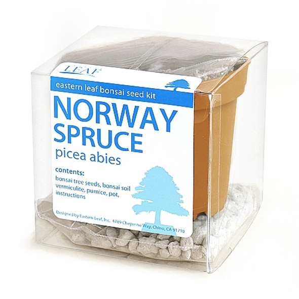 Norway Spruce Bonsai Seed Kit