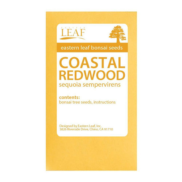 Coastal Redwood Bonsai Seeds