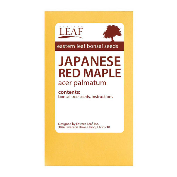 Japanese Red Maple Bonsai Seeds