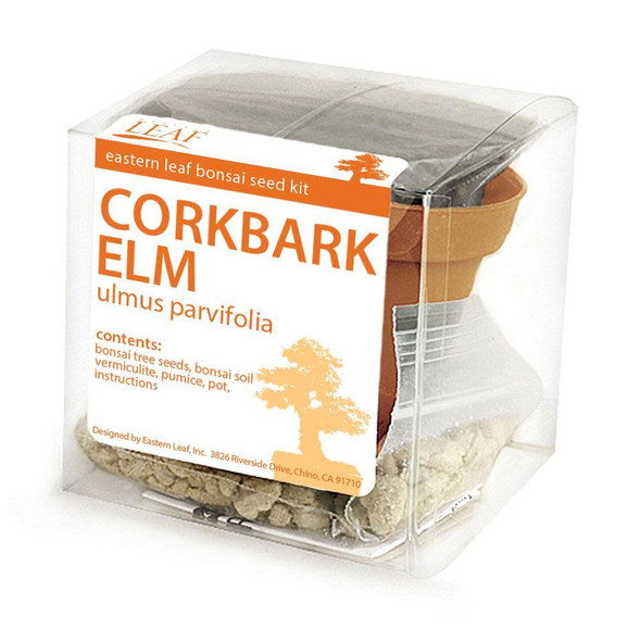 Corkbark Elm Bonsai Seed Kit