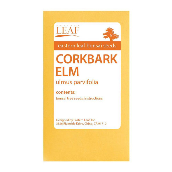 Corkbark Elm Bonsai Seeds