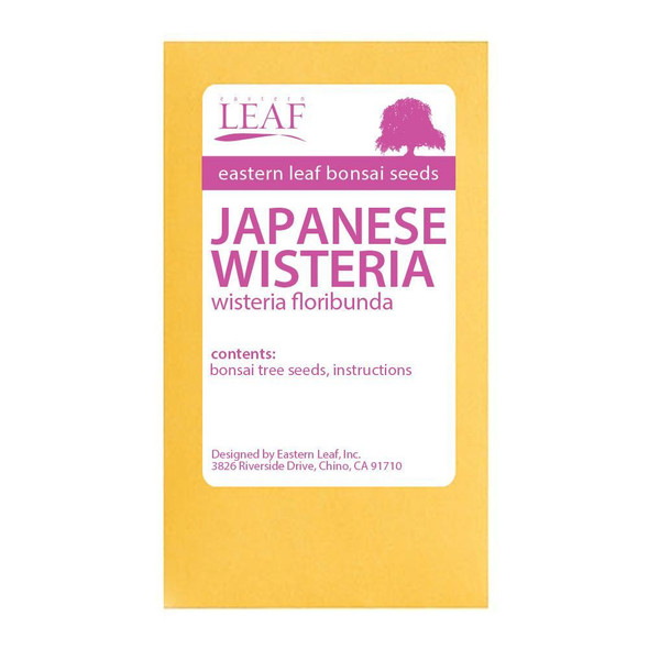 Japanese Wisteria Bonsai Seeds