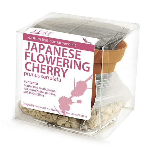 Japanese Flowering Cherry Bonsai Seed Kit