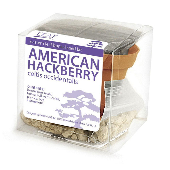 American Hackberry Bonsai Seed Kit