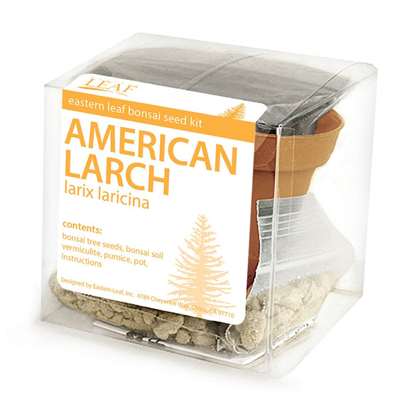 American Larch Bonsai Seed Kit