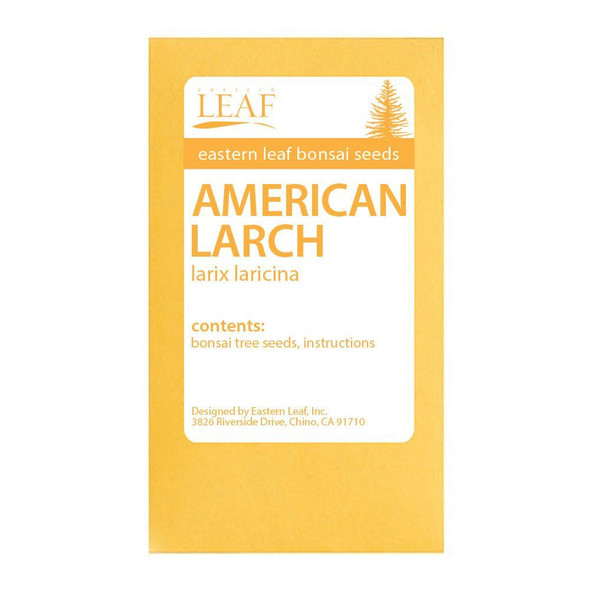 American Larch Bonsai Seeds