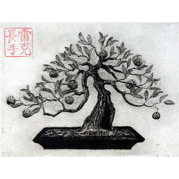 Bonsai Print Drawing