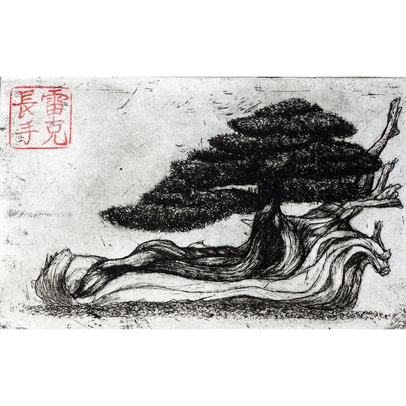 Bonsai Print Drawing