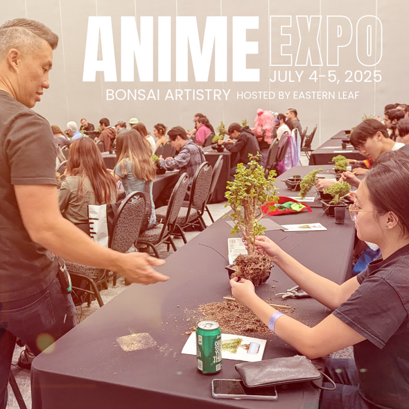SOLD OUT Anime Expo 2025, Los Angeles Convention Center July 4 - 5
