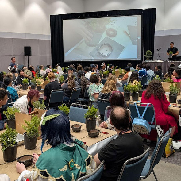 Bonsai Artistry Anime Expo 2026, Los Angeles Convention Center July 3
