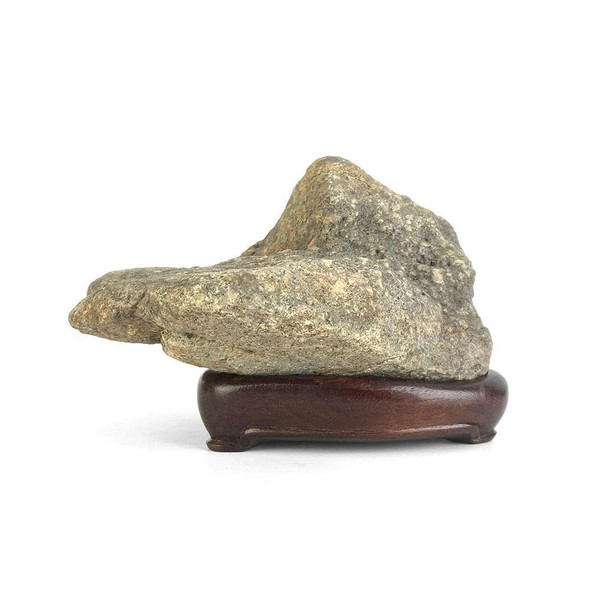 Gardening & Home - Viewing Stones - Japanese Suiseki - Eastern Leaf