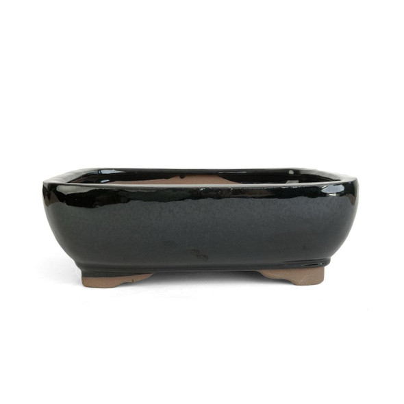 8.5" Rounded Rectangle Bonsai Pot - Black