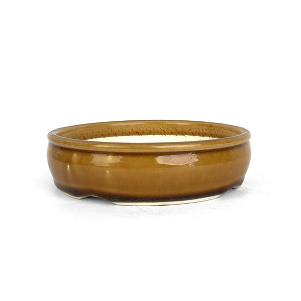 6" Round Brown Glazed Bonsai Pot by Shane Cargilo 6" Round Brown Glazed Bonsai Pot by Shane Cargilo