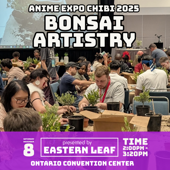 Anime Expo Chibi 2025, Ontario Convention Center November 8th