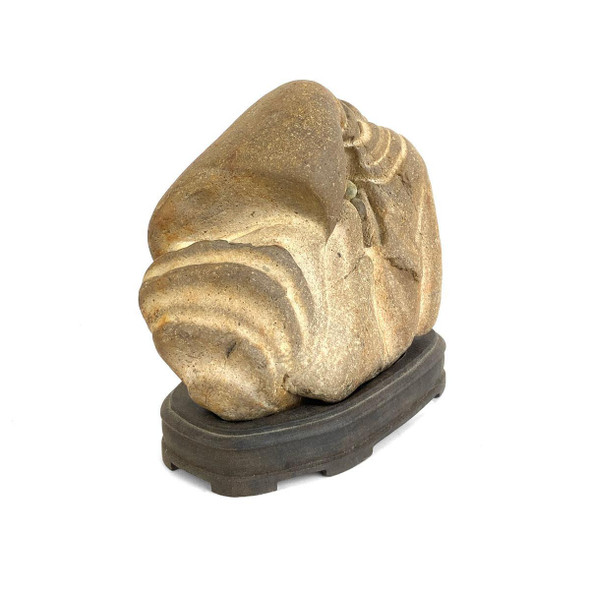 Gobi Desert Head Stone