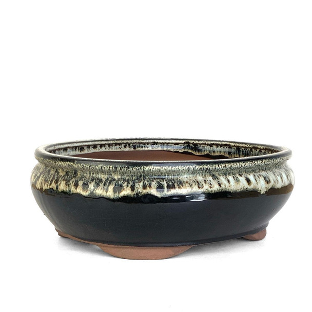12" Tall Oval Bonsai Pot - Midnight Ombre