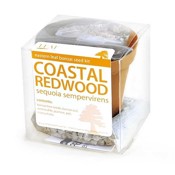 Coastal Redwood Bonsai Seed Kit