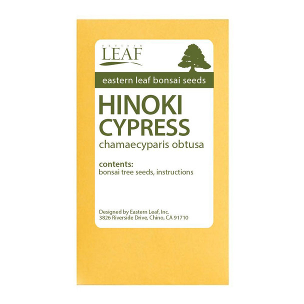 Hinoki Cypress Bonsai Seeds