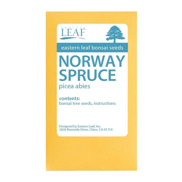 Norway Spruce Bonsai Seeds