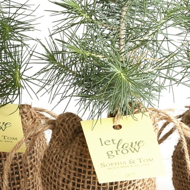 Pine Tree Plant Favor - Burlap Pouch