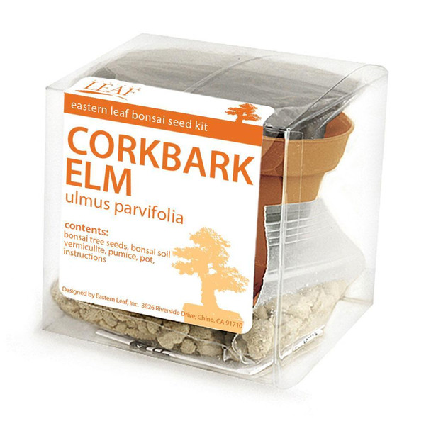 Corkbark Elm Bonsai Seed Kit