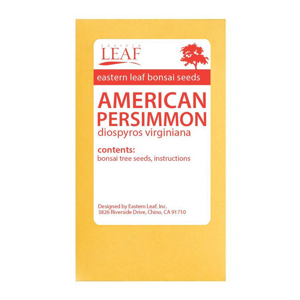 American Persimmon Bonsai Seeds