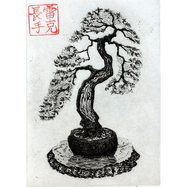Bonsai Print Drawing