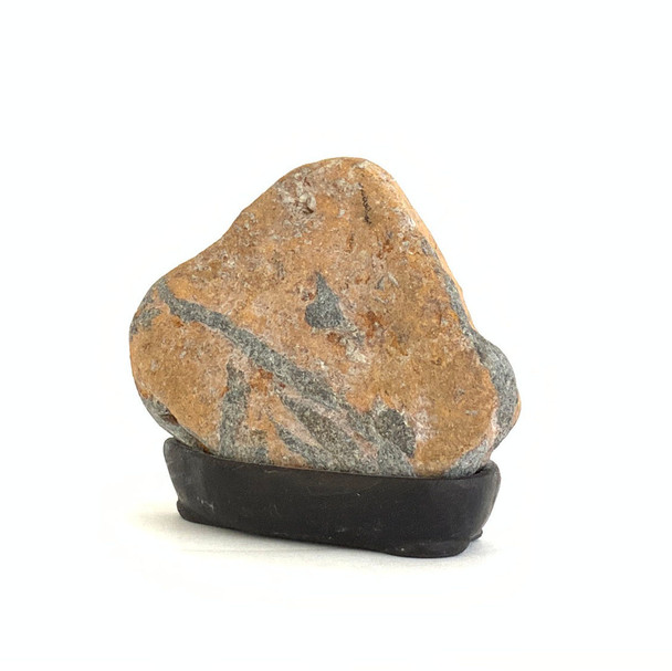 Japanese Suiseki - Ogon-seki River Stone with Daiza