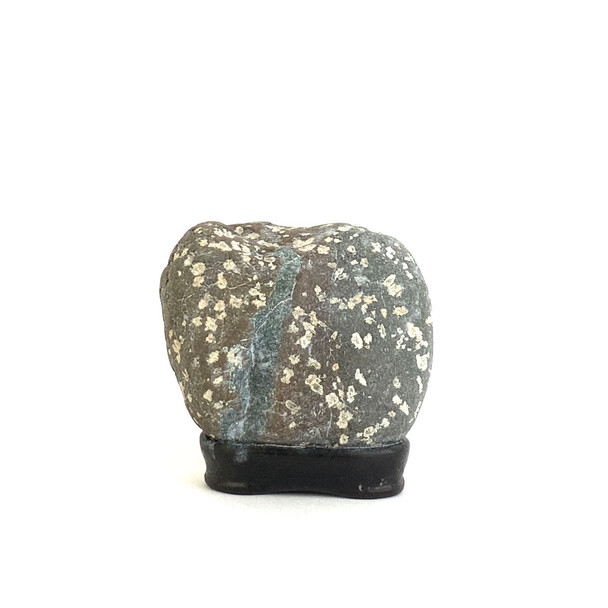Japanese Suiseki - Baika-seki Plum Flower Stone with Daiza