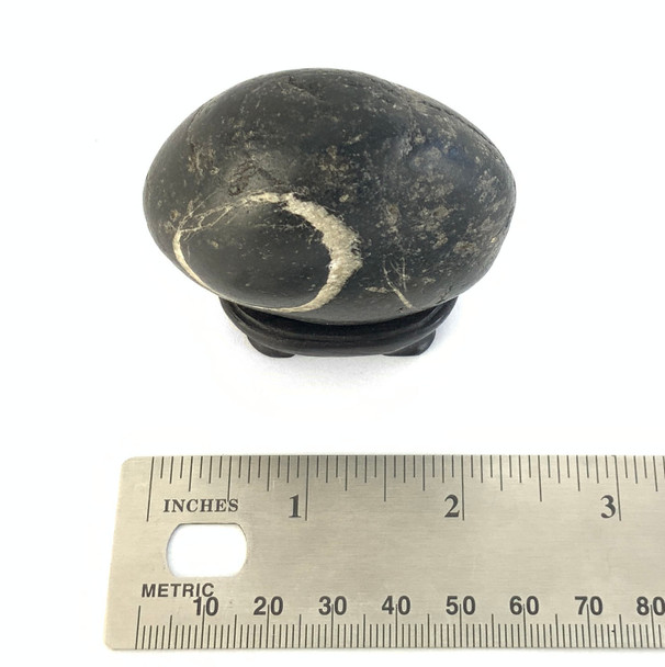Japanese Suiseki - Gensho-seki Eclipse Stone with Daiza