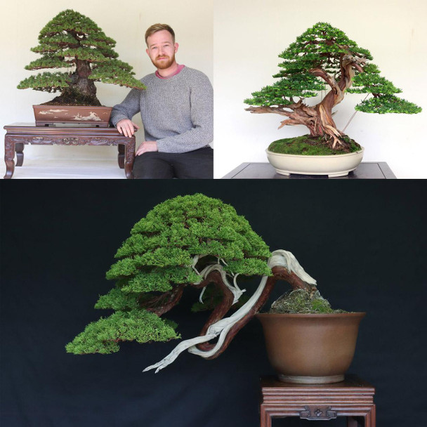 PAST EVENT - Sunday, May 19 Bonsai Workshop / Class with Kaya Mooney