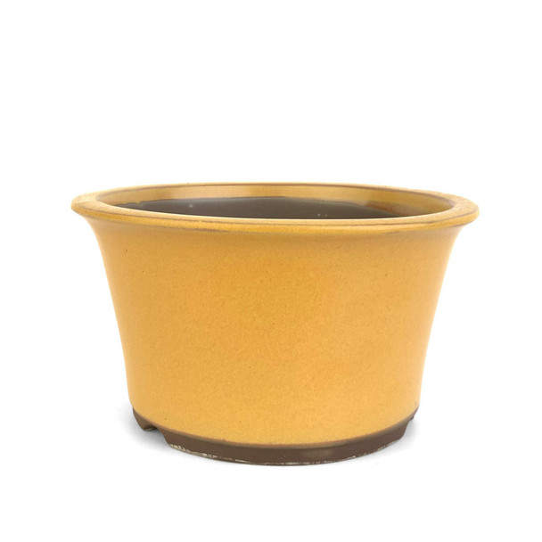 6.5" Round Tall Bonsai Pot - Yellow